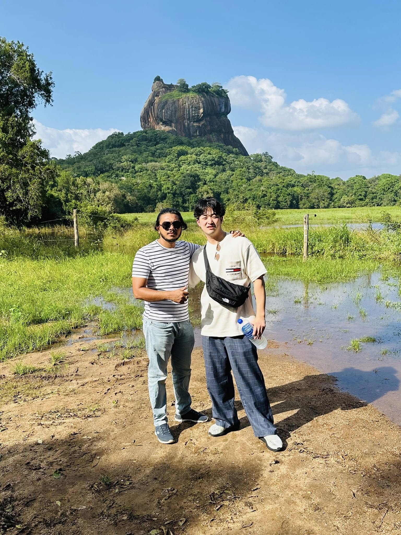 lions and tigers at Sigiriya